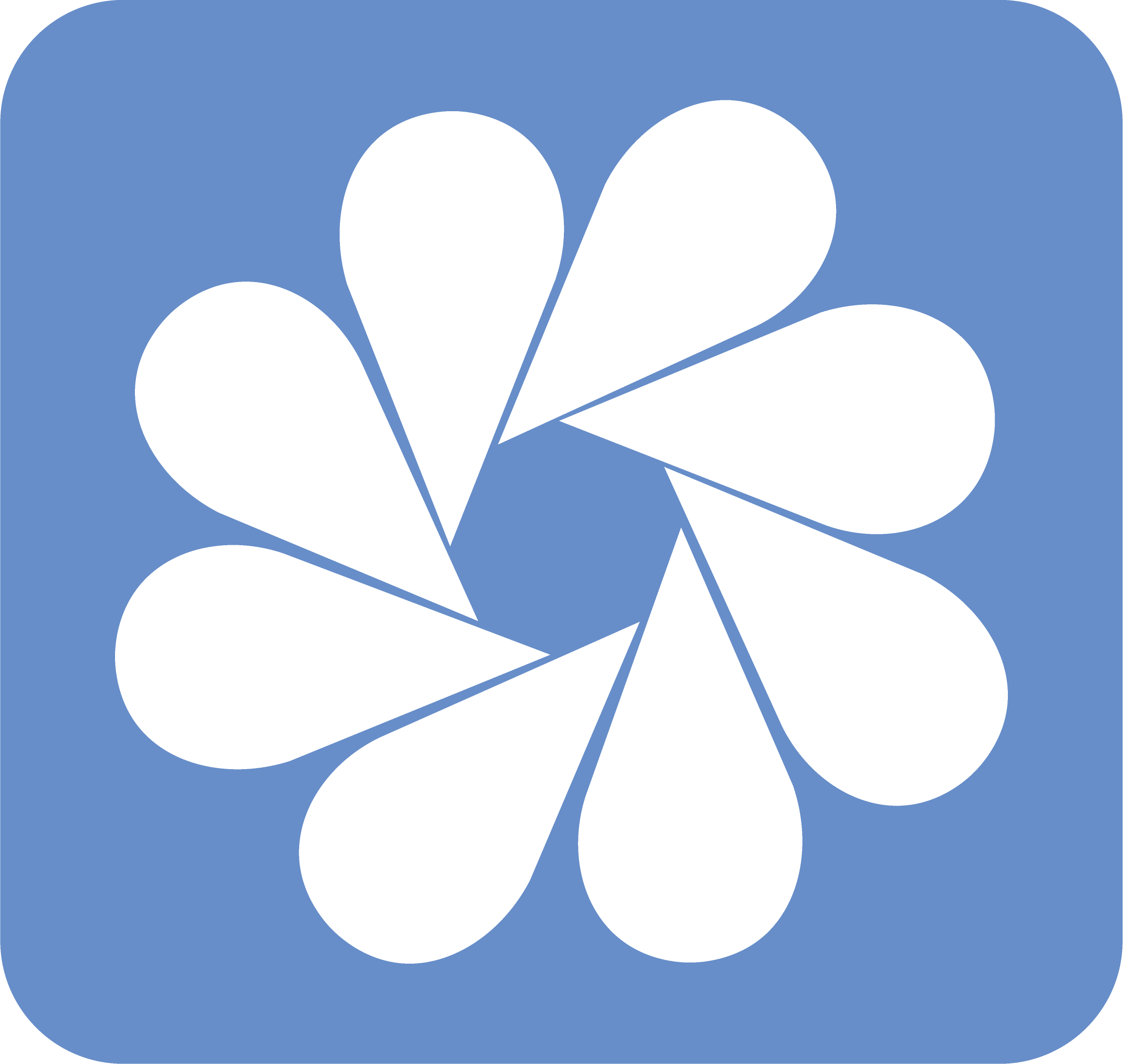 logo icon